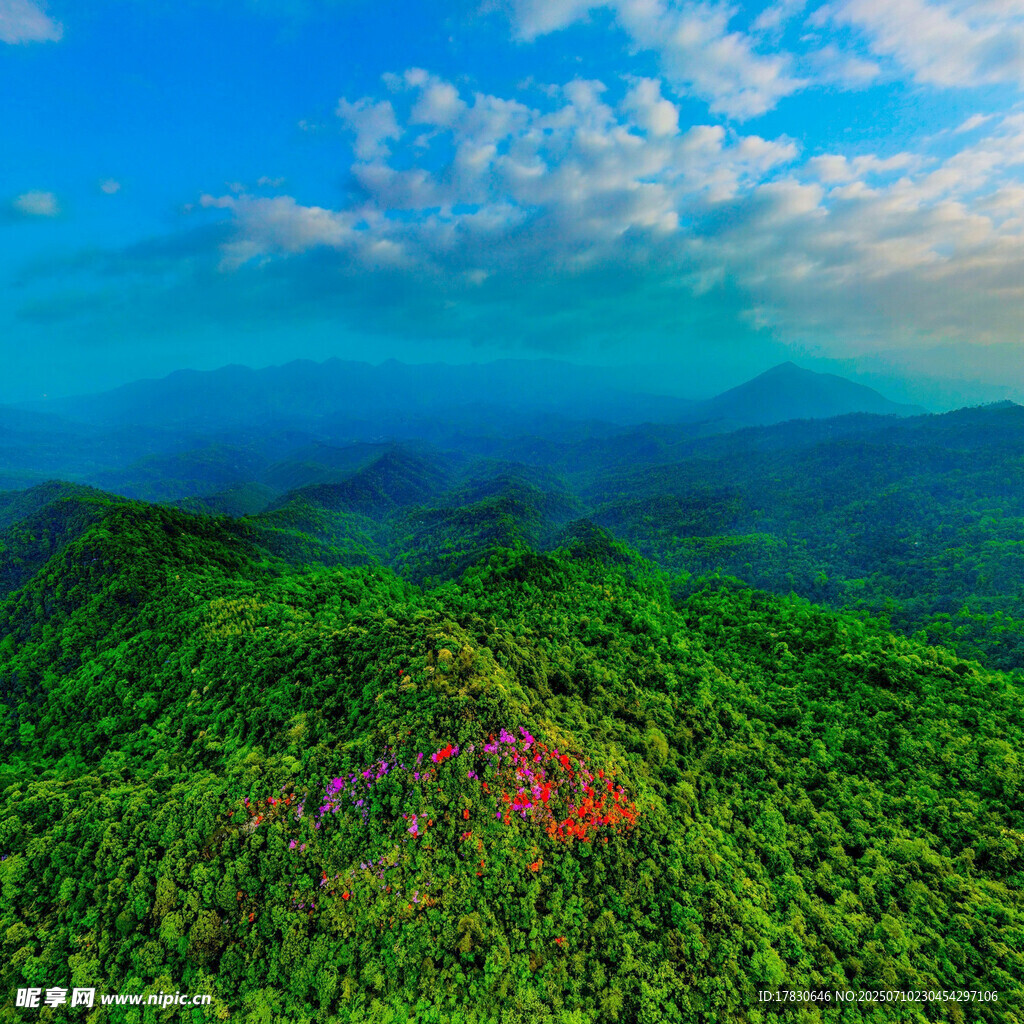 青山绿野间的绚丽景致