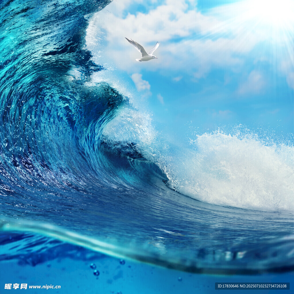 汹涌海浪与翱翔飞鸟