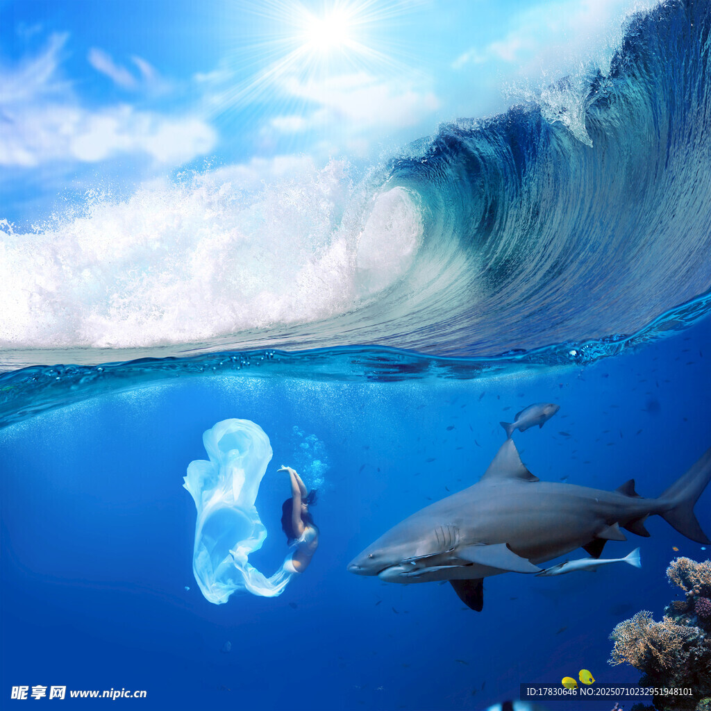 海底人与鲨鱼共舞奇景