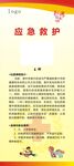社团应急救护