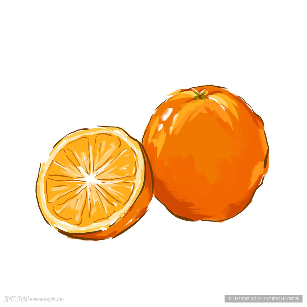 橙子插画