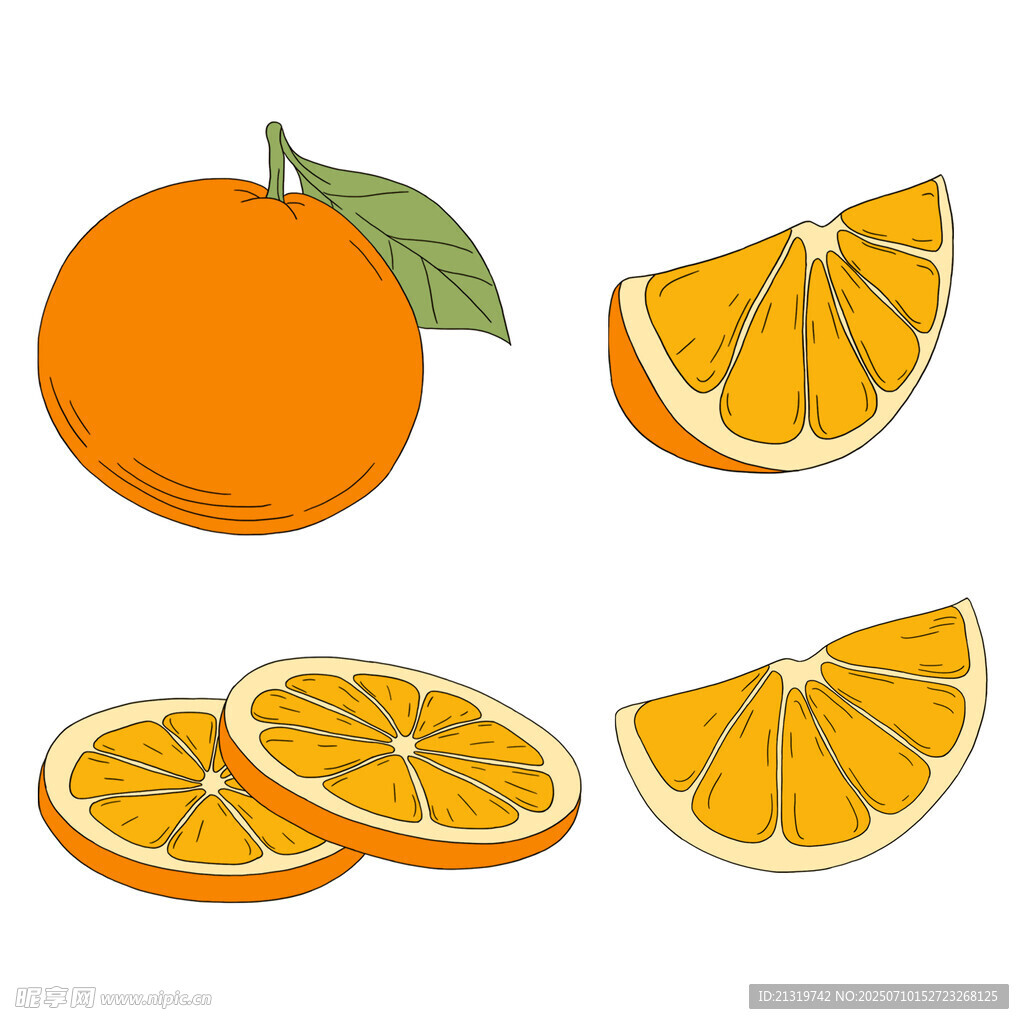 橙子插画