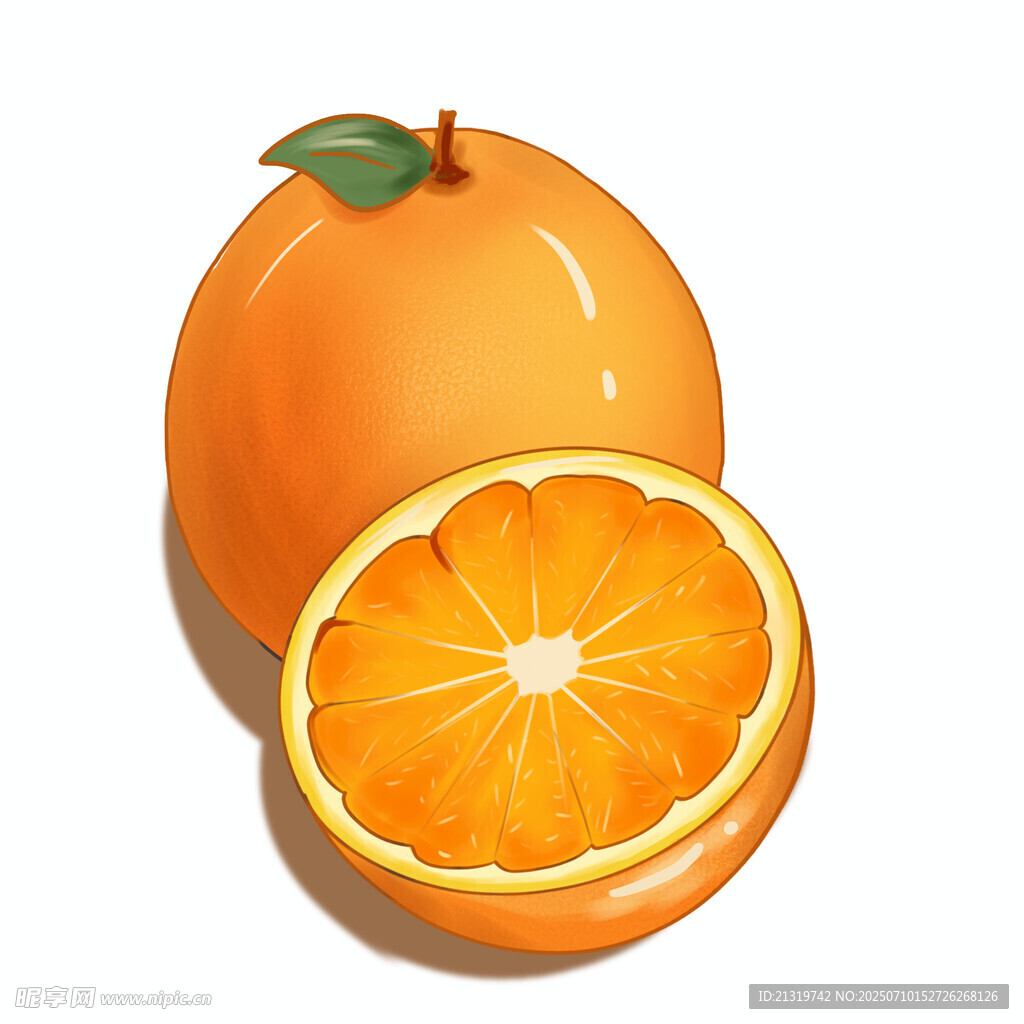 橙子插画素材