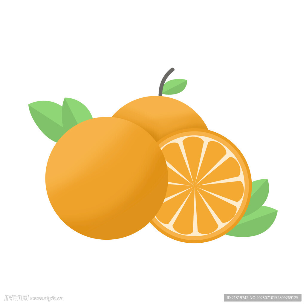 手绘橙子