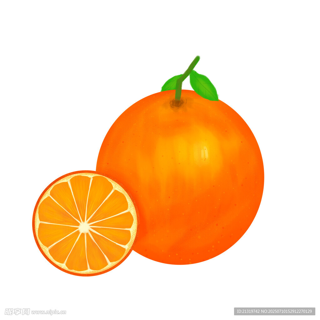 橙子插画