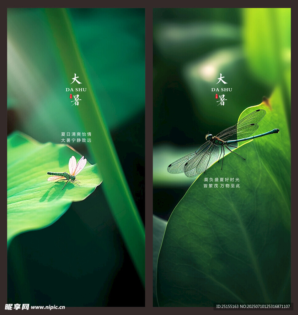 节气大暑