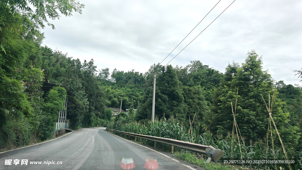 林间公路