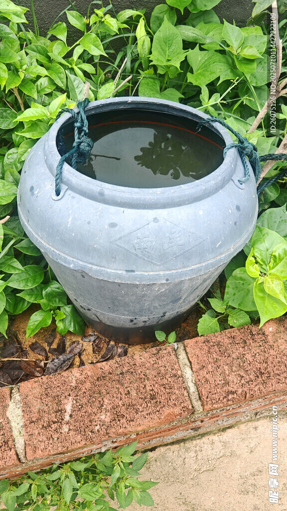 庭院中的古朴水缸