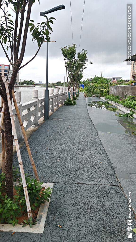 雨中宁静的户外步道景观