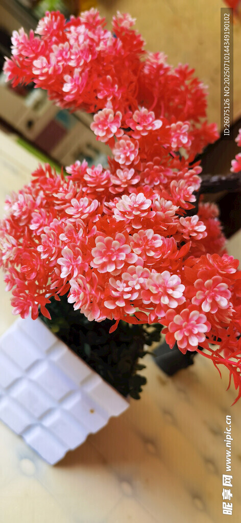 仿真鲜艳红花卉盆栽展示
