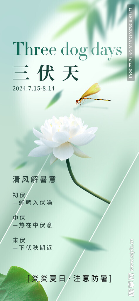三伏天