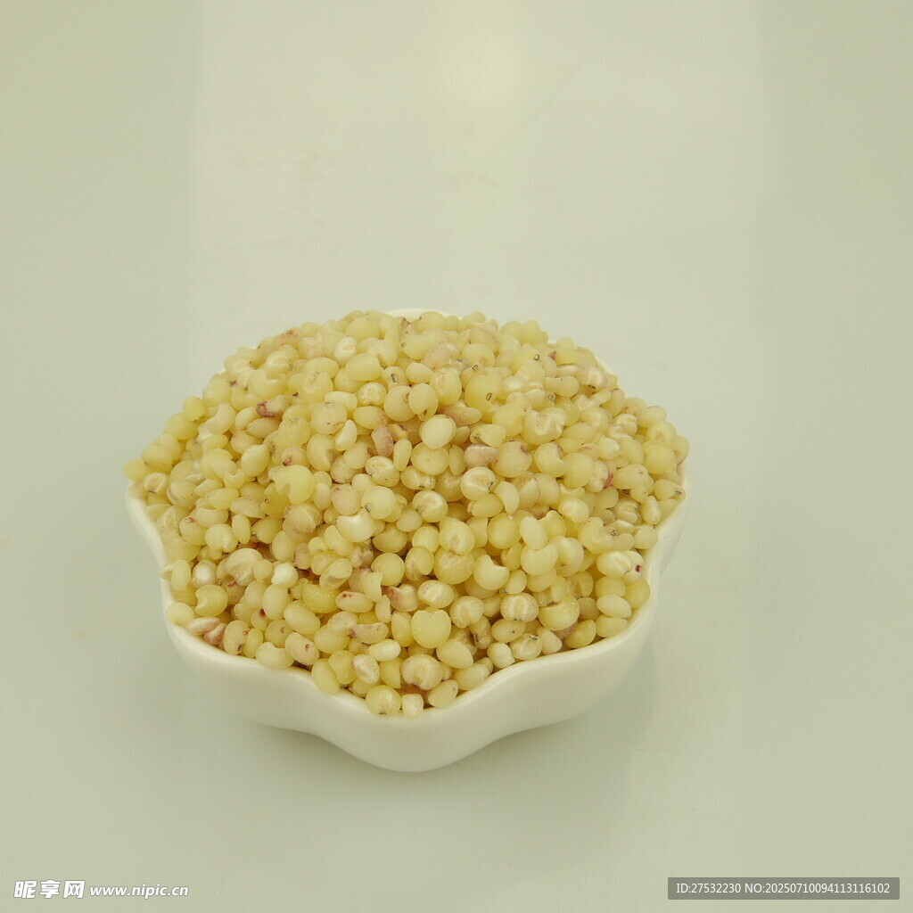 碗中饱满的黄色小米粒