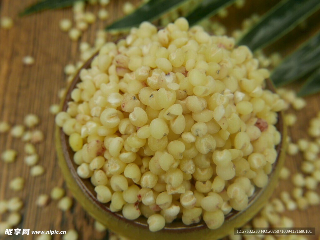 金黄饱满的新鲜玉米粒