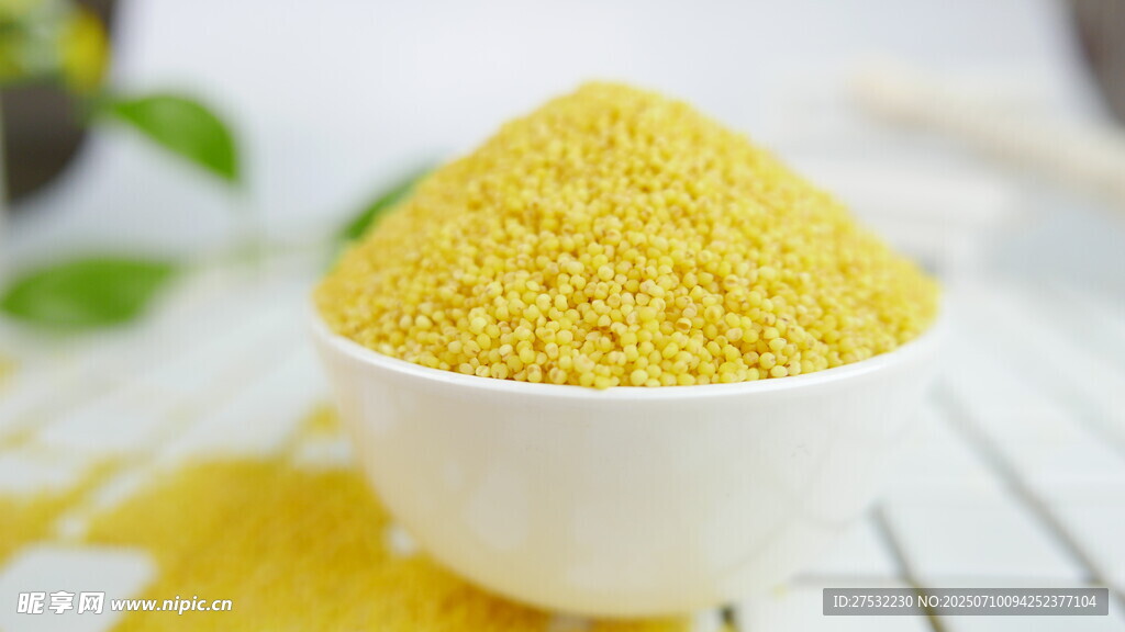一碗金黄小米