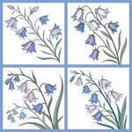 蓝铃花手绘插画