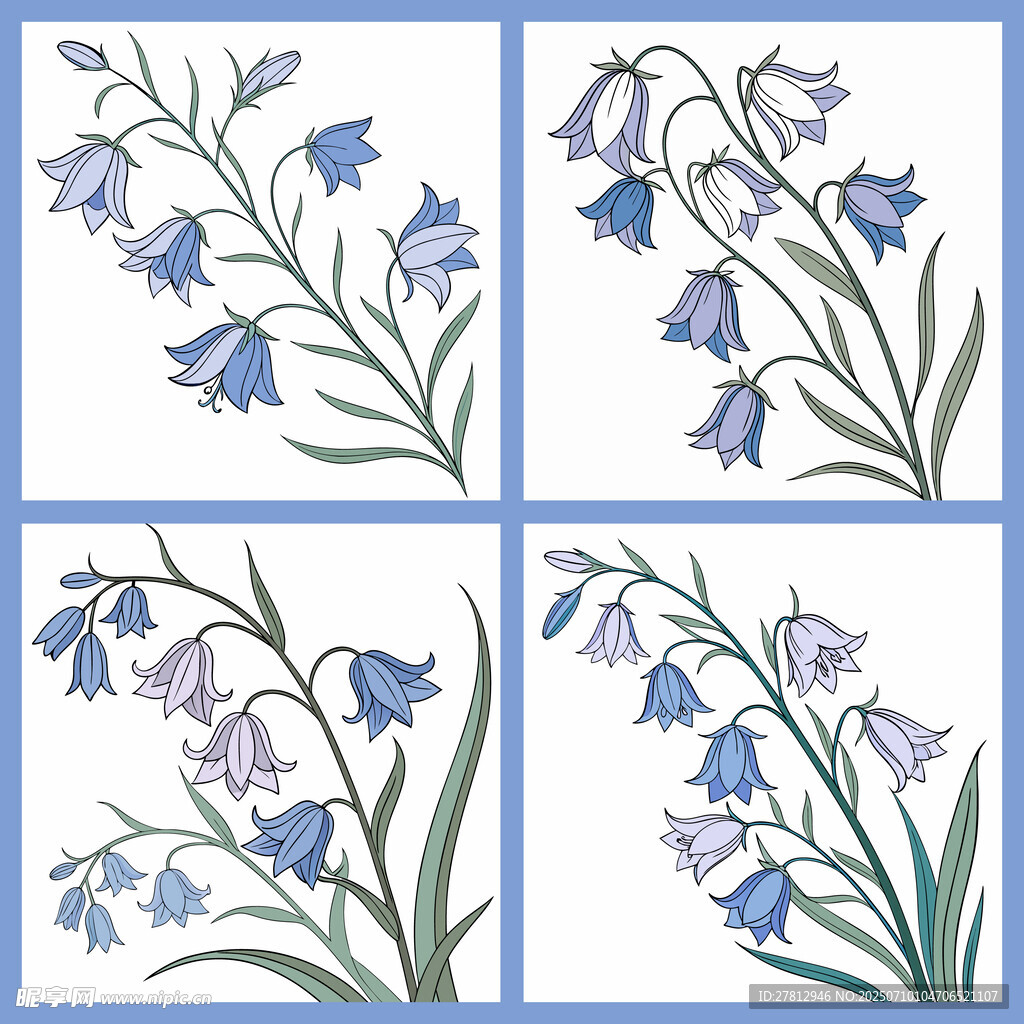 蓝铃花手绘插画