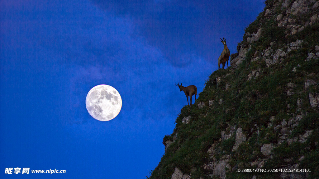 月夜山景明月悬于山畔