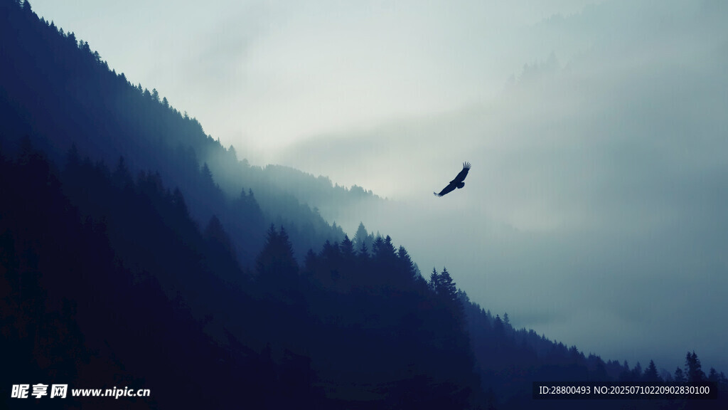 山间飞鸟云雾缭绕之景