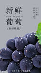 葡萄海报
