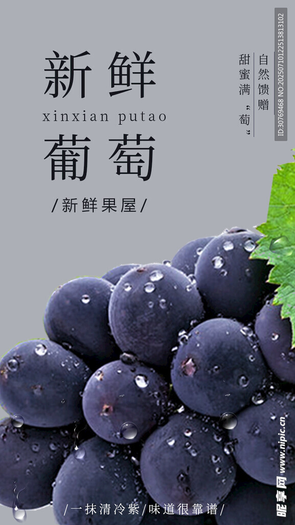 葡萄海报