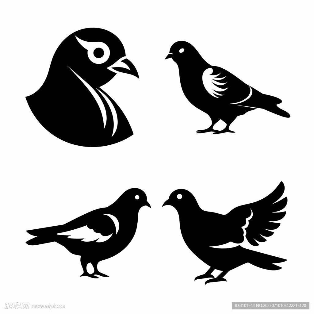 鸽子图案