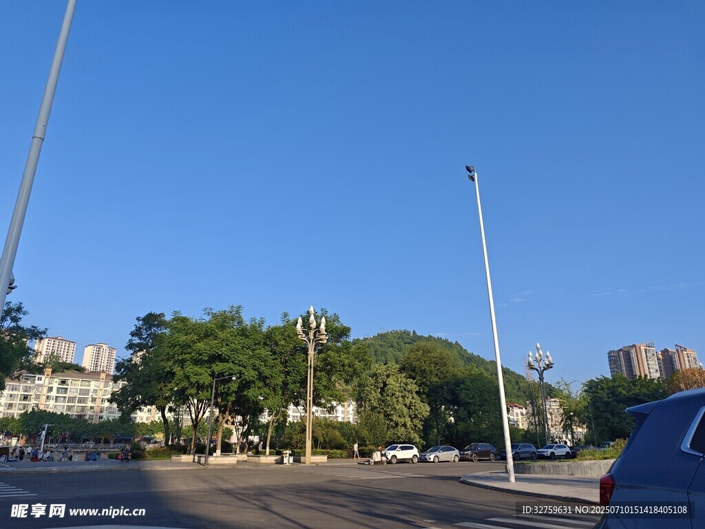 城市街道旁的绿树与蓝天