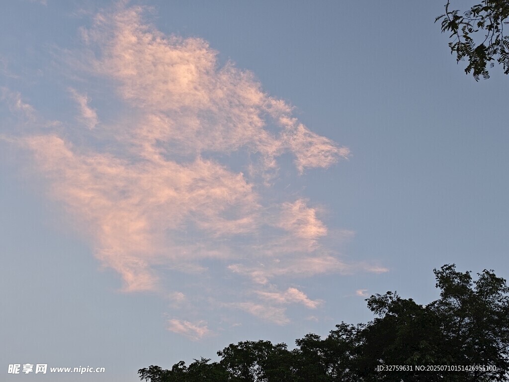 夕阳下的梦幻云朵与树梢