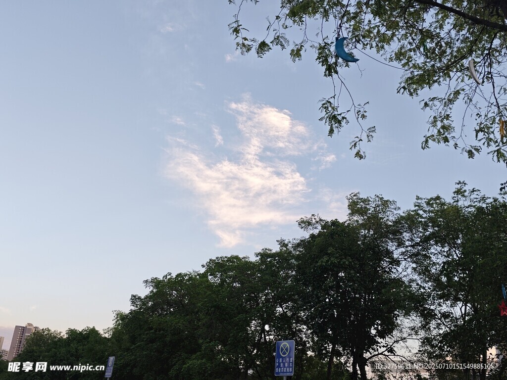蓝天绿树间的云朵美景