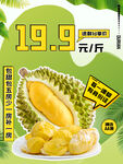榴莲海报