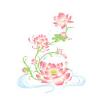手绘粉色荷花插画图案