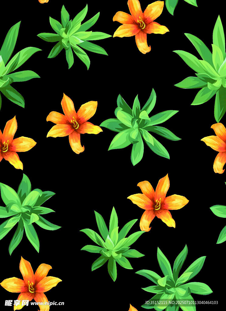 热带花卉绿叶图案背景 数码  