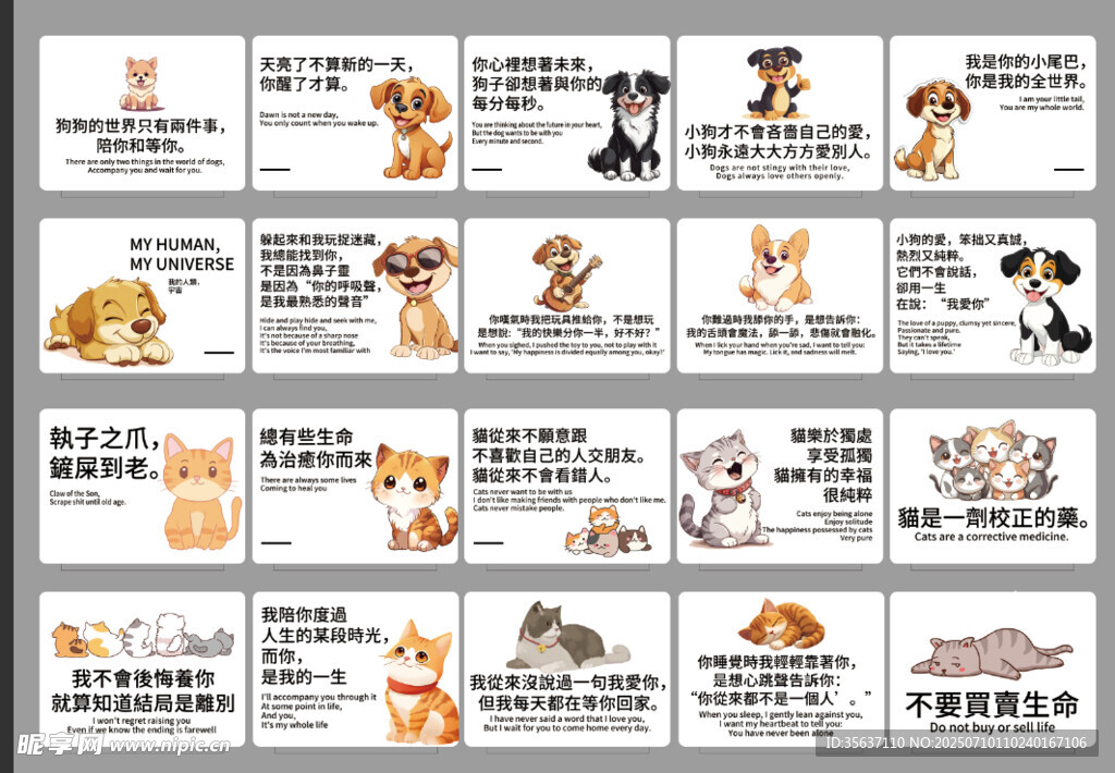 卡通动物动作  宠物  猫 狗