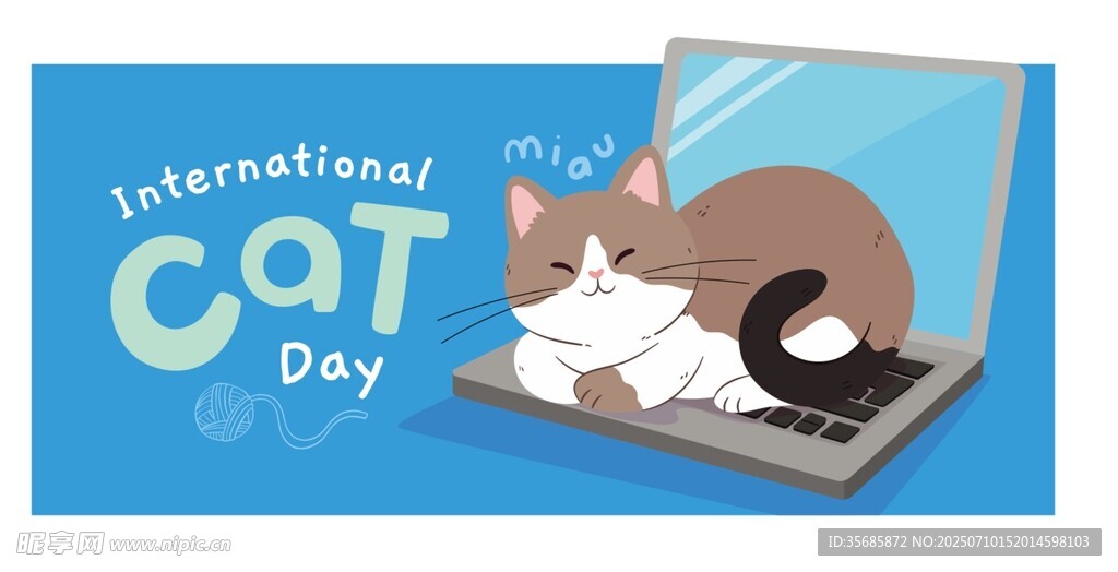 猫咪