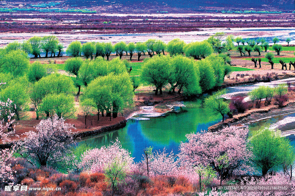 春日河畔美景