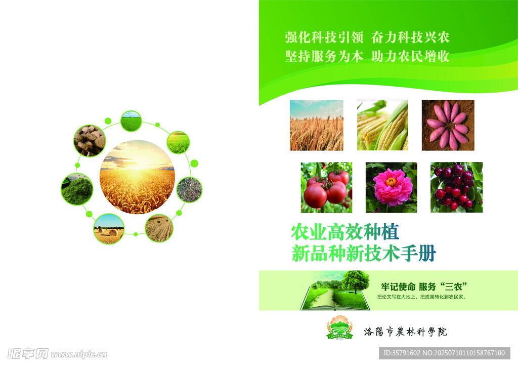 农业高效种植技术手册