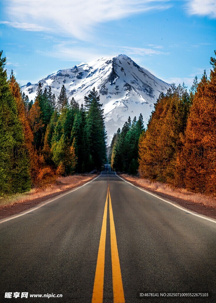 公路尽头的雪山森林美景