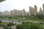城市高楼与绿地景观