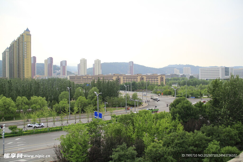 城市绿树环绕的开阔景观