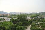城郊绿意景观