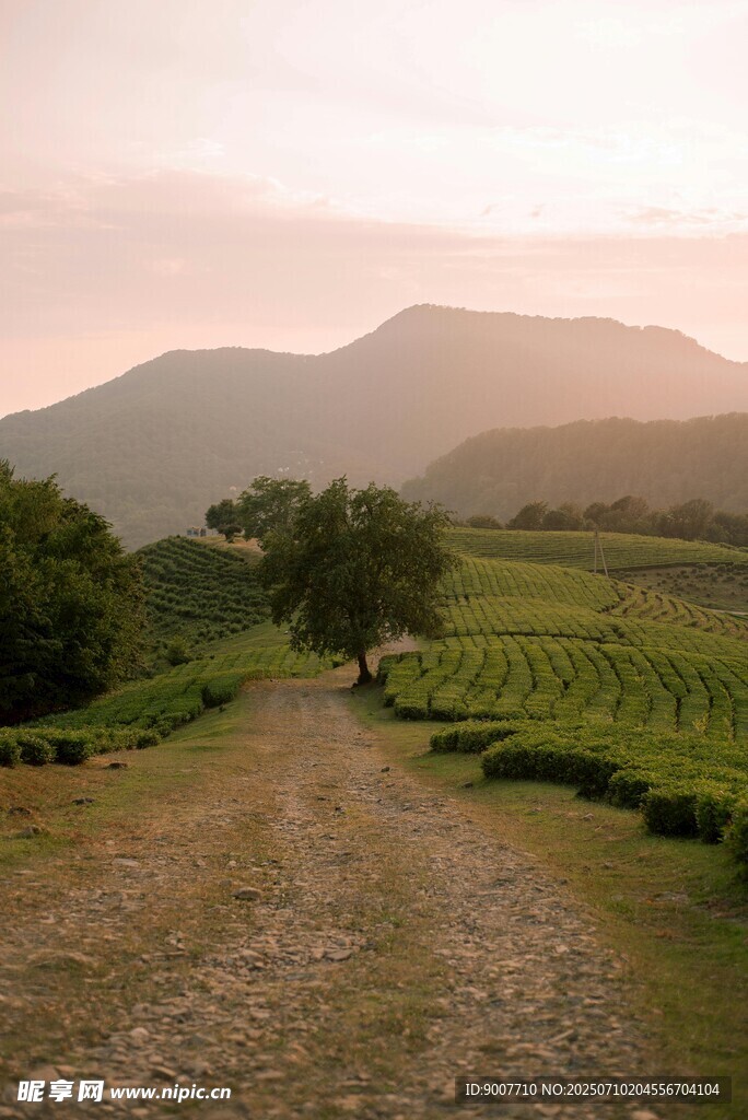 山间黄昏小路 田园美景