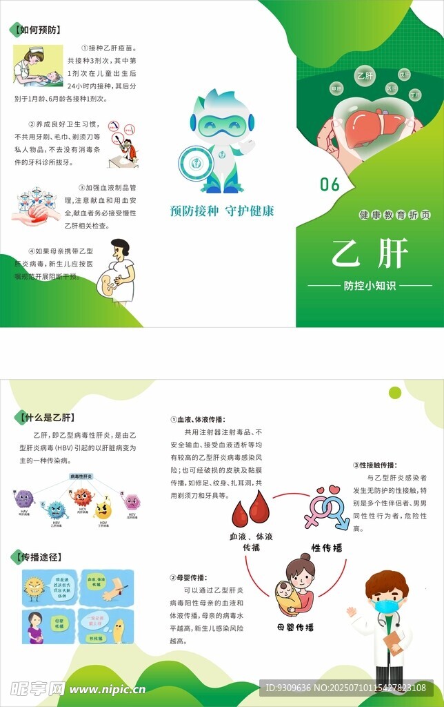 乙肝防护 三折页
