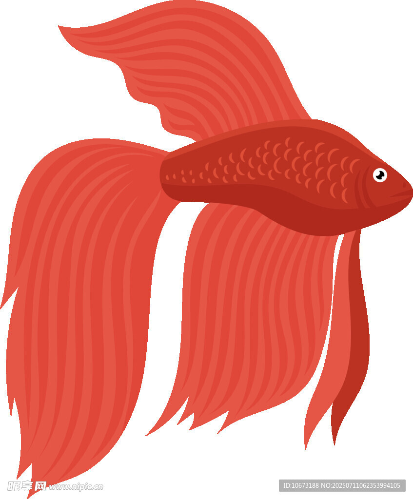 红色飘逸长尾金鱼插画