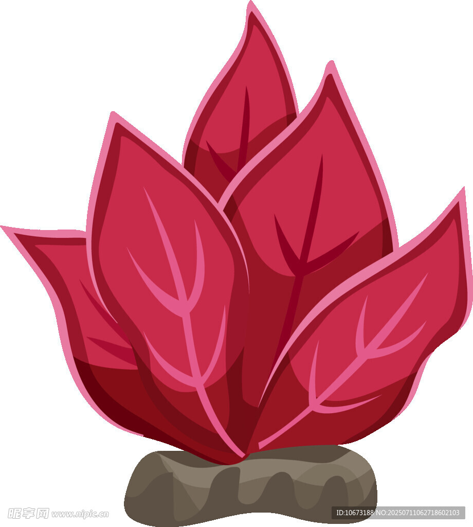 红色叶片植物插画