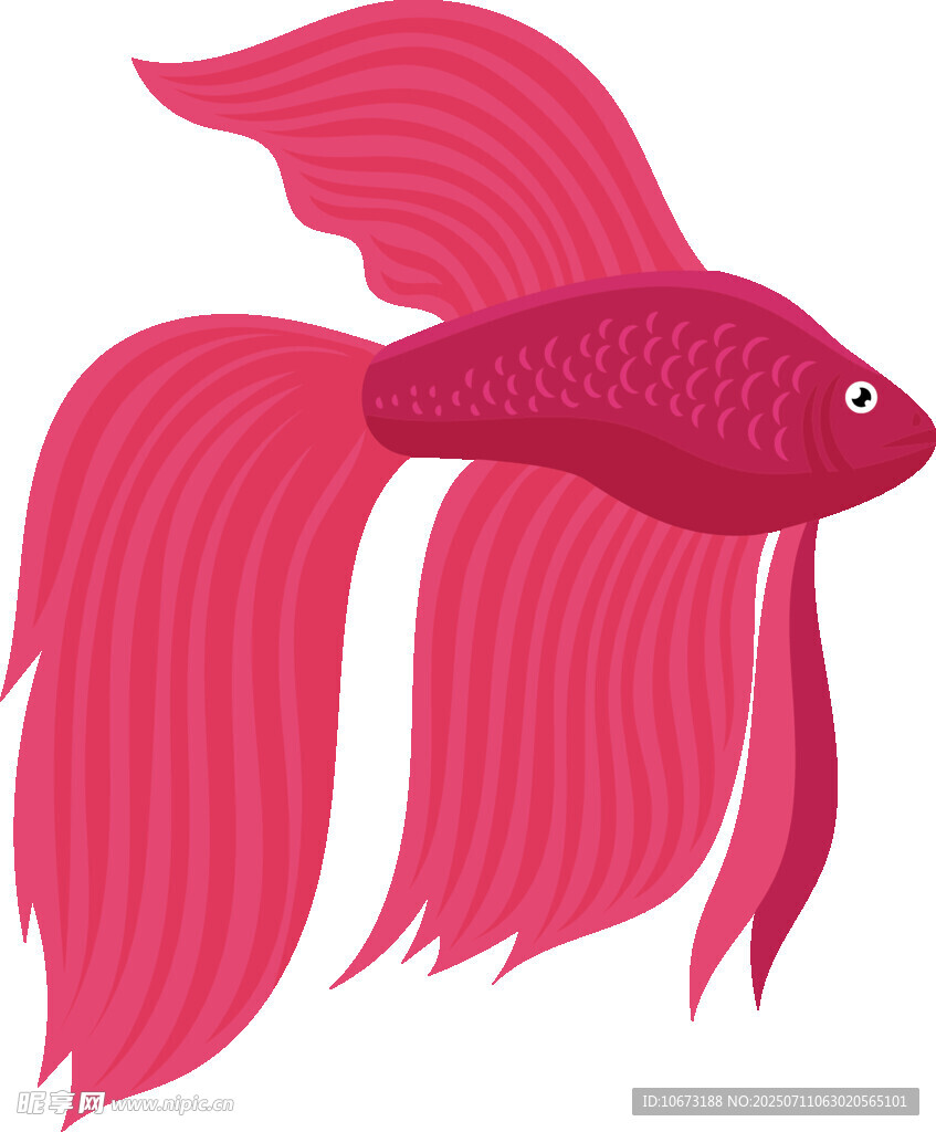 红色飘逸长尾金鱼插画