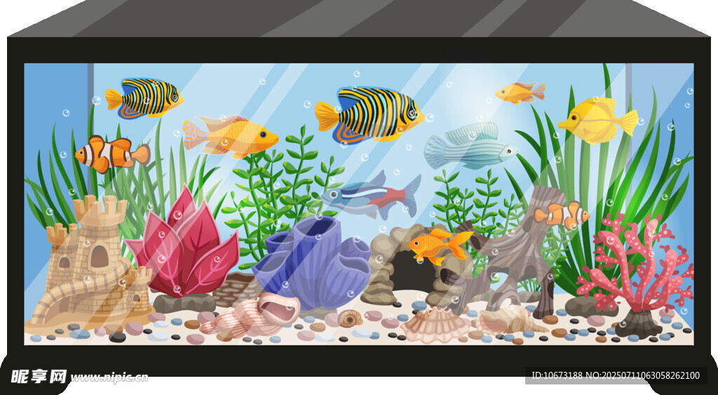 精美水族箱展示多彩海底世界