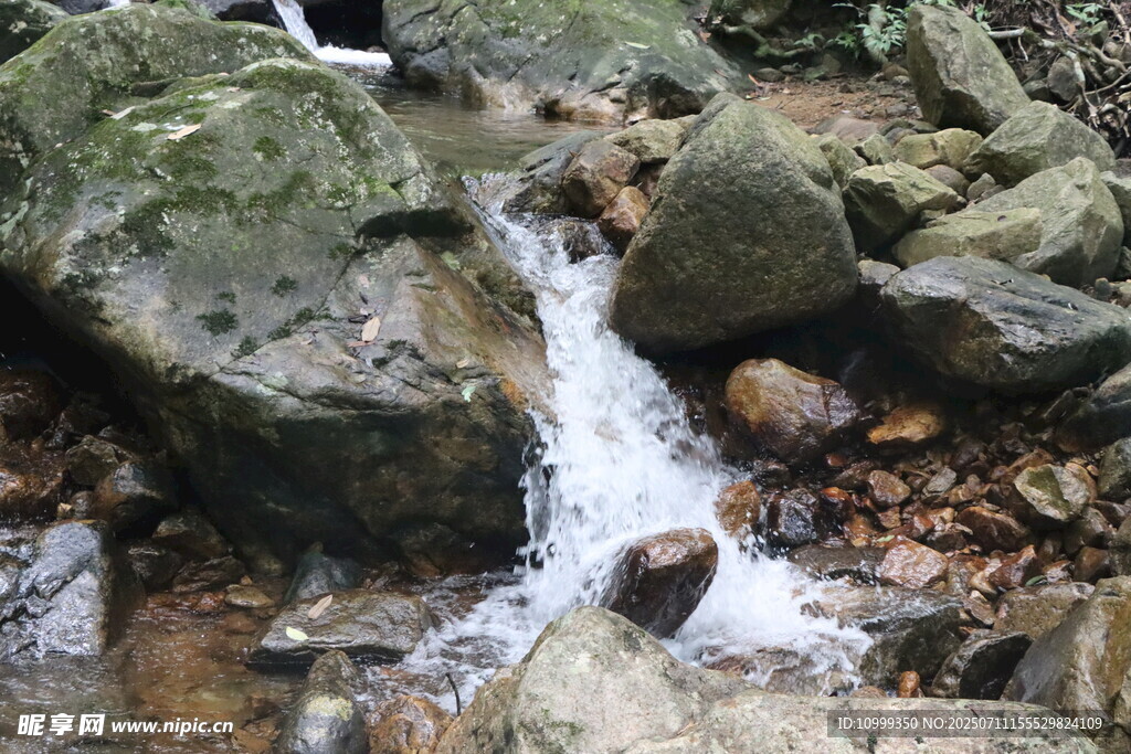姑婆山山间溪流潺潺过石间