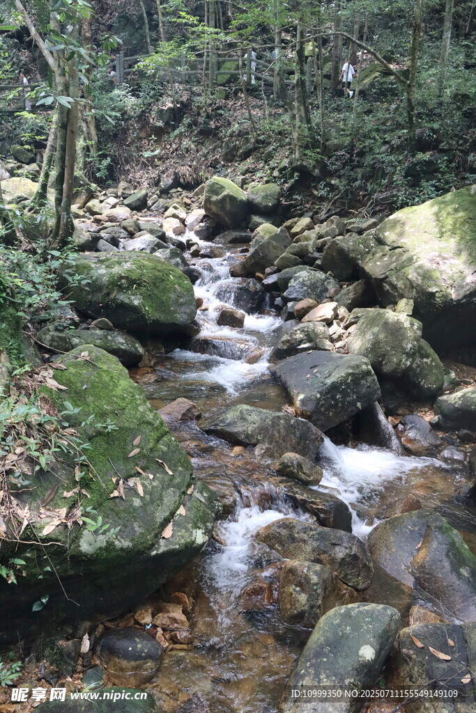 姑婆山山林间潺潺溪流美景