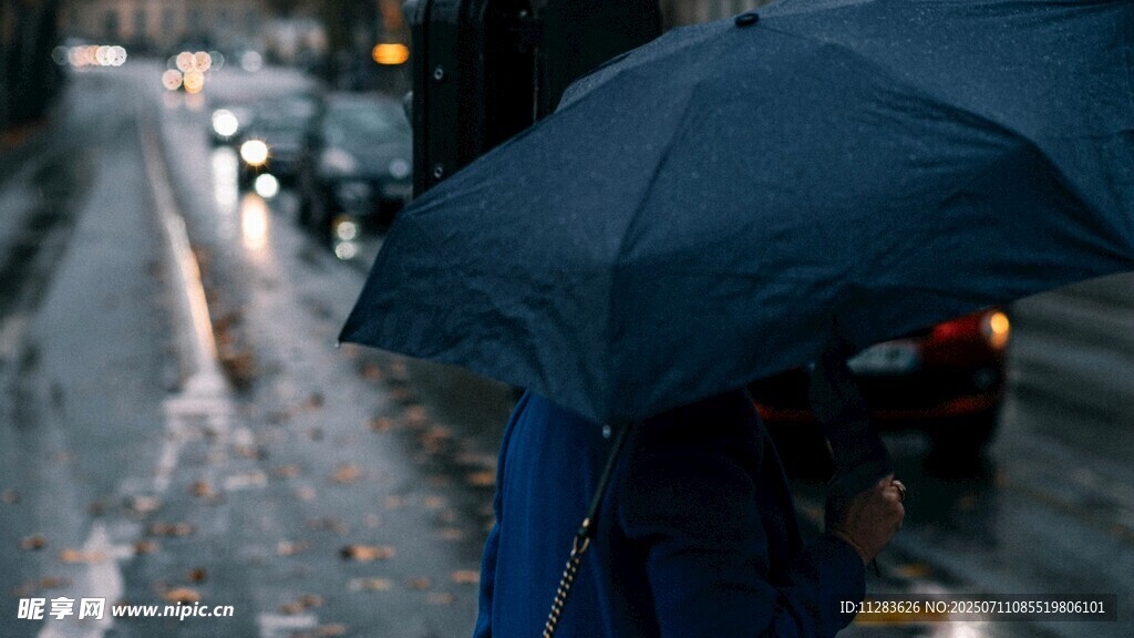 雨中撑伞漫步的行人