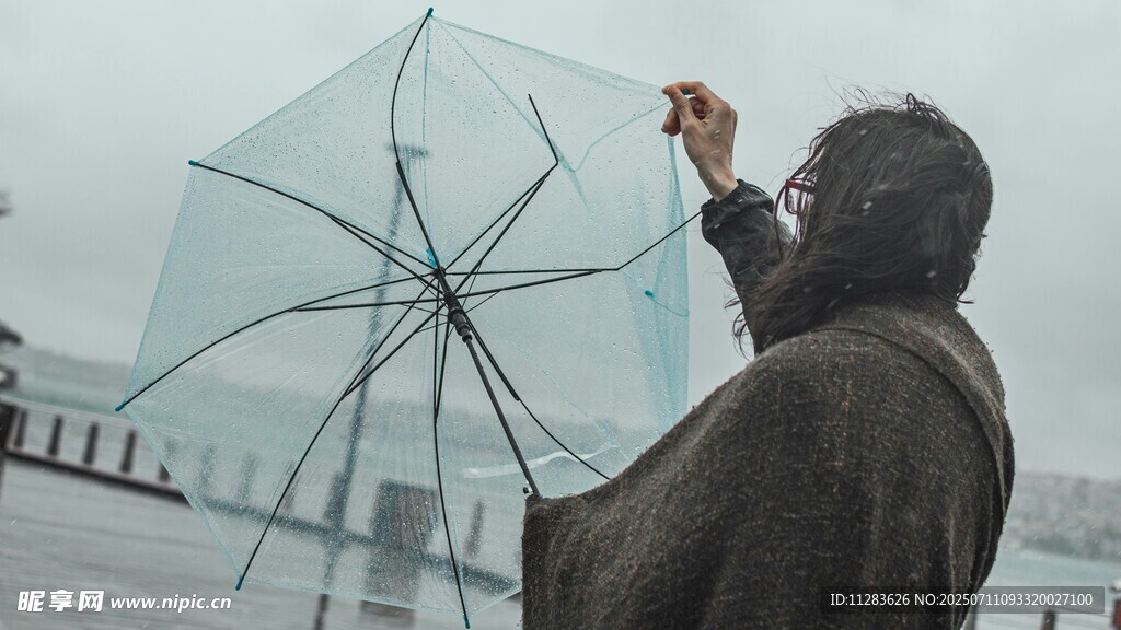 雨中撑透明伞的背影