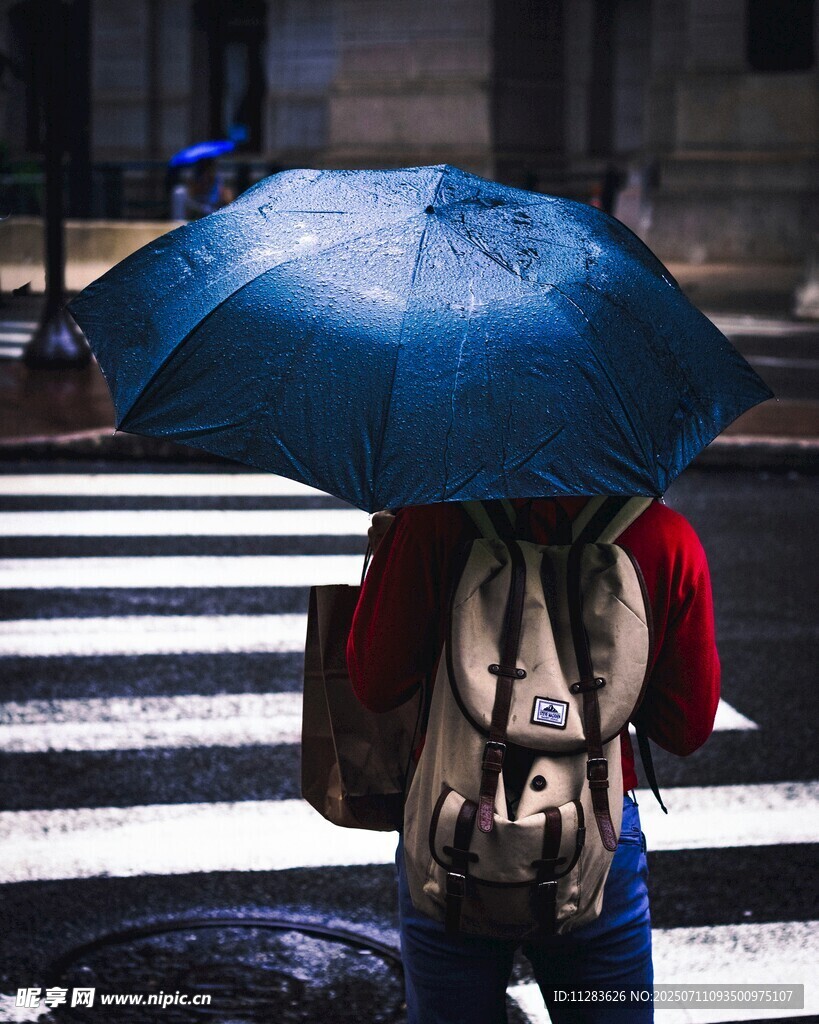 雨中撑伞过马路的行人